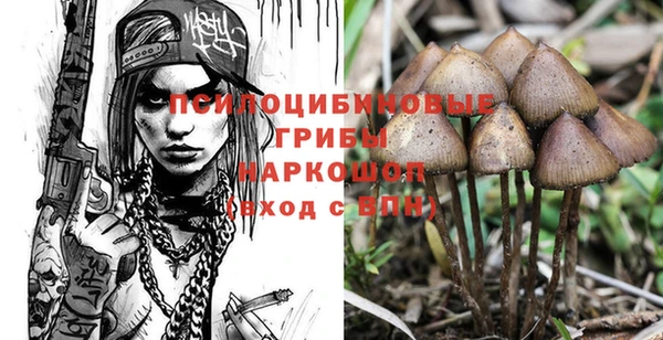 каннабис Абаза
