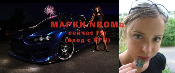 мет Алексин