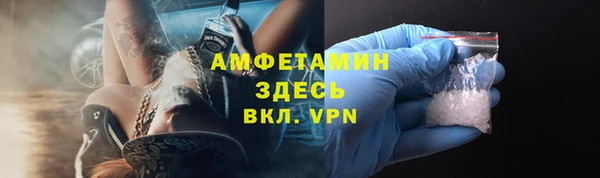 мет Алексин