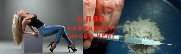 хмурый Липки