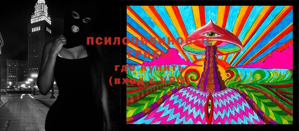 spice Алзамай