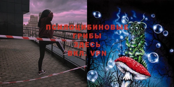 Альфа ПВП Абдулино